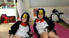 Teen Penguins On Cam