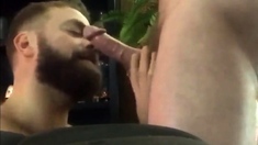 Bearded Guy Suck And Swallow