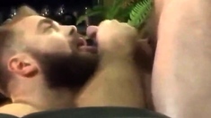 Bearded Guy Suck And Swallow