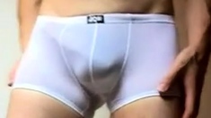 See through lycra underwear