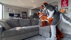 Amateur Couple Doggystyle