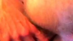 Bareback Fun: Cum, Lick, Repeat