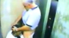 Daddy Bear And His Young Cub Caught On Camera