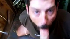 Bearded Daddy Blowjob By The Roadside