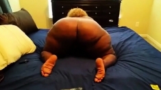 Black BBW Shaking That Ass