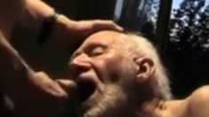 old grandpapa sucking